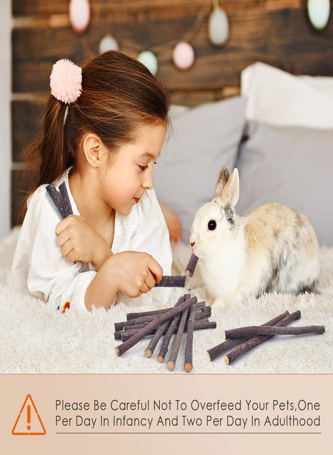 Bissap 230g/8.1oz Apple Sticks for Rabbits, Natural Bunny Chew Toys and Treats for Chinchilla Guinea Pig Hamster Gerbil Small Animals Pet Apple Wood Stick Toys Teeth Grinding - Image 5